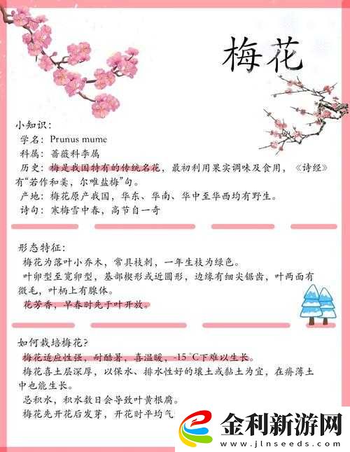 江南百景圖梅花枝究竟如何獲取