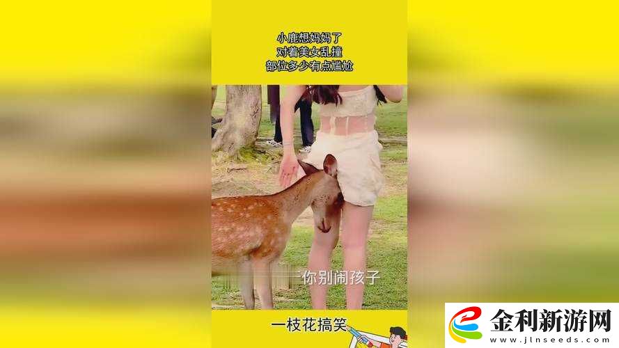 如何看待