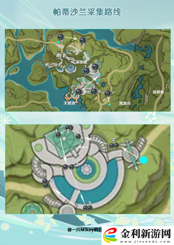 原神帕蒂沙蘭采集攻略
