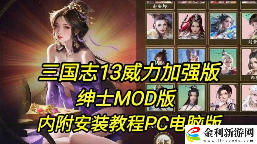 如何設(shè)置三國志13威力加強版N卡畫面