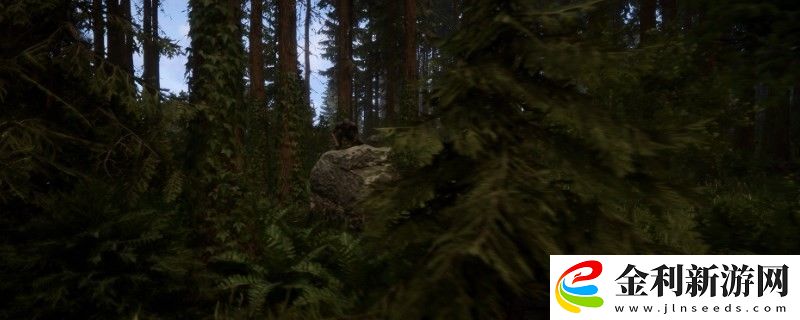 森林之子滑翔翼坐標(biāo)位置一覽