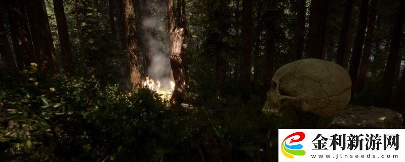 森林之子天氣設(shè)置代碼詳細(xì)一覽2025