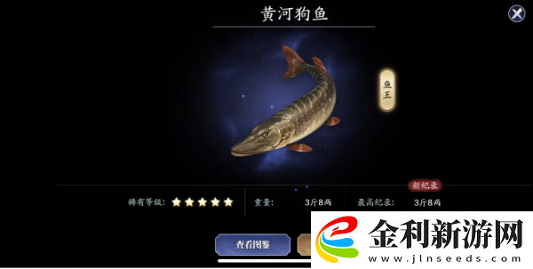 天涯明月刀手游黃河狗魚位置分享