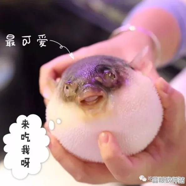 深入探索創(chuàng)造與魔法的奇幻世界