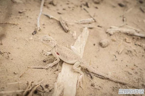 重返未來(lái)1999