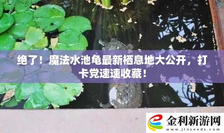絕了！魔法水池龜最新棲息地大公開