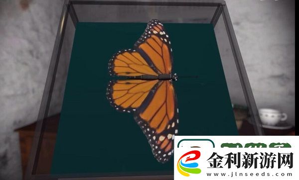 孫美琪疑案鬼佬線索怎么關(guān)聯(lián)