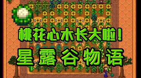 星露谷物語春日狂歡