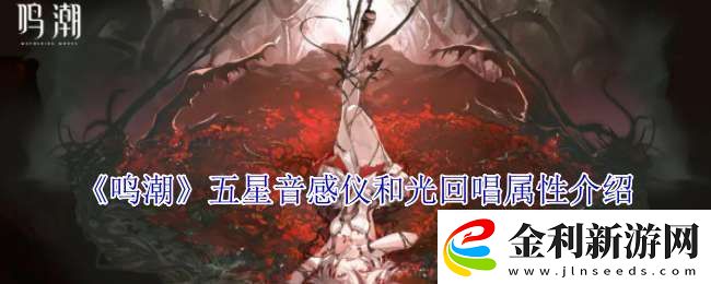 鳴潮五星音感儀和光回唱有什么屬性