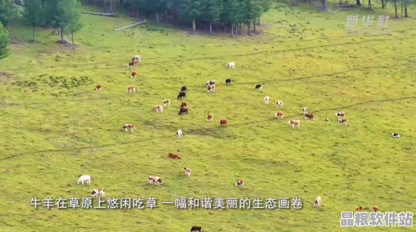 ZoomKOOL自然牧場探索之旅