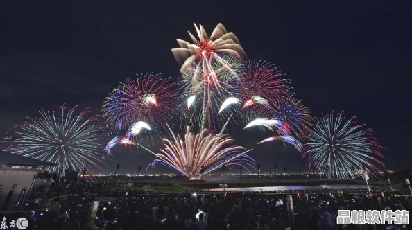 日本農(nóng)村大姐的藝術(shù)探索之旅