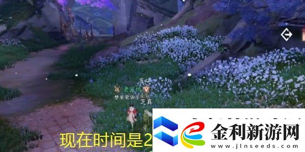 無盡夢回打造頂級暴富普攻盤攻略