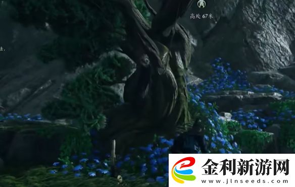 燕云十六聲搖紅一夢(mèng)藏寶圖4位置介紹