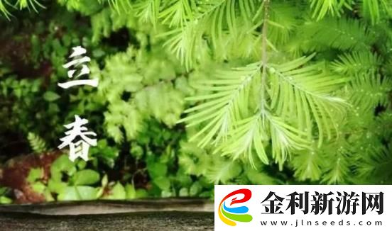 立春時間2023年幾點幾分