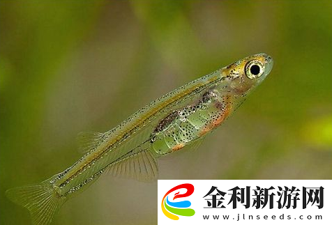 世界之最