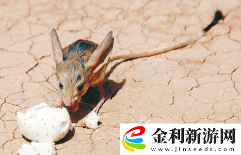 世界之最