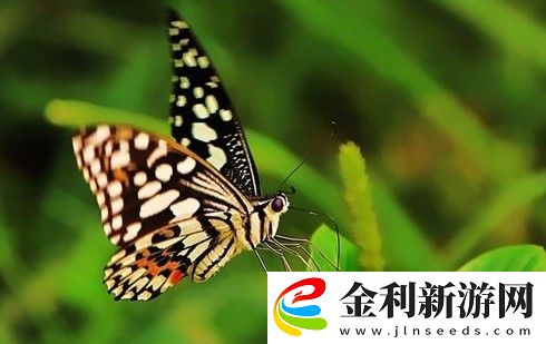 世界之最