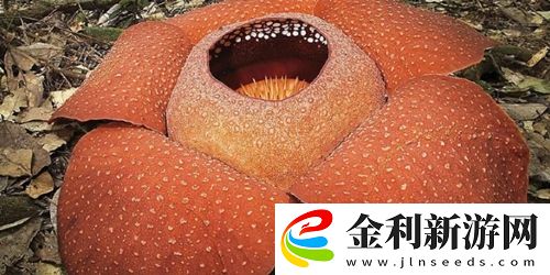 世界之最