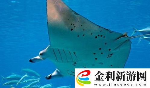 世界之最