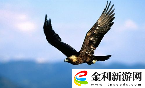 世界之最