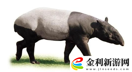 世界之最