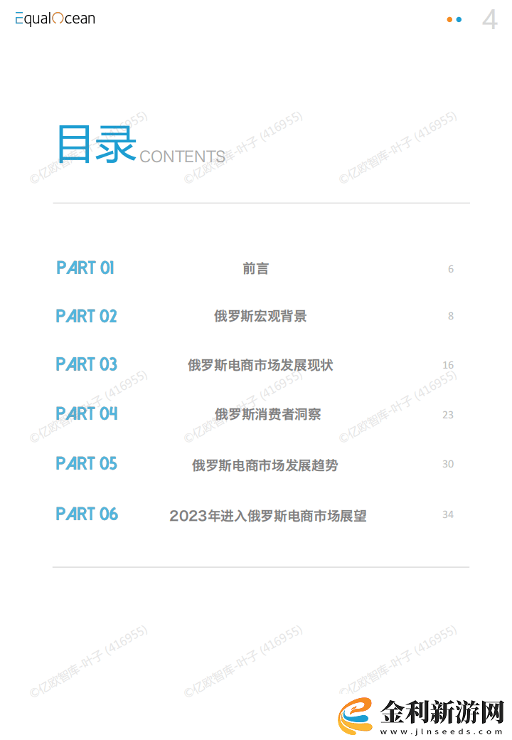 2023俄羅斯電商市場全景解析