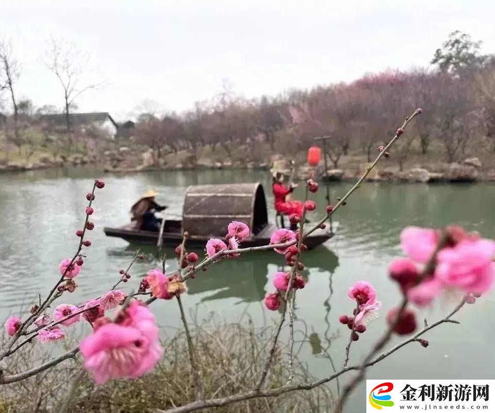 中國民企創(chuàng)新力爆棚